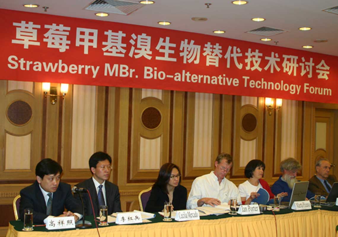 聯合國環(huán)境署、聯合國工發(fā)組織等機構出席了我公司舉行的草莓甲基溴生物替代技術研討會